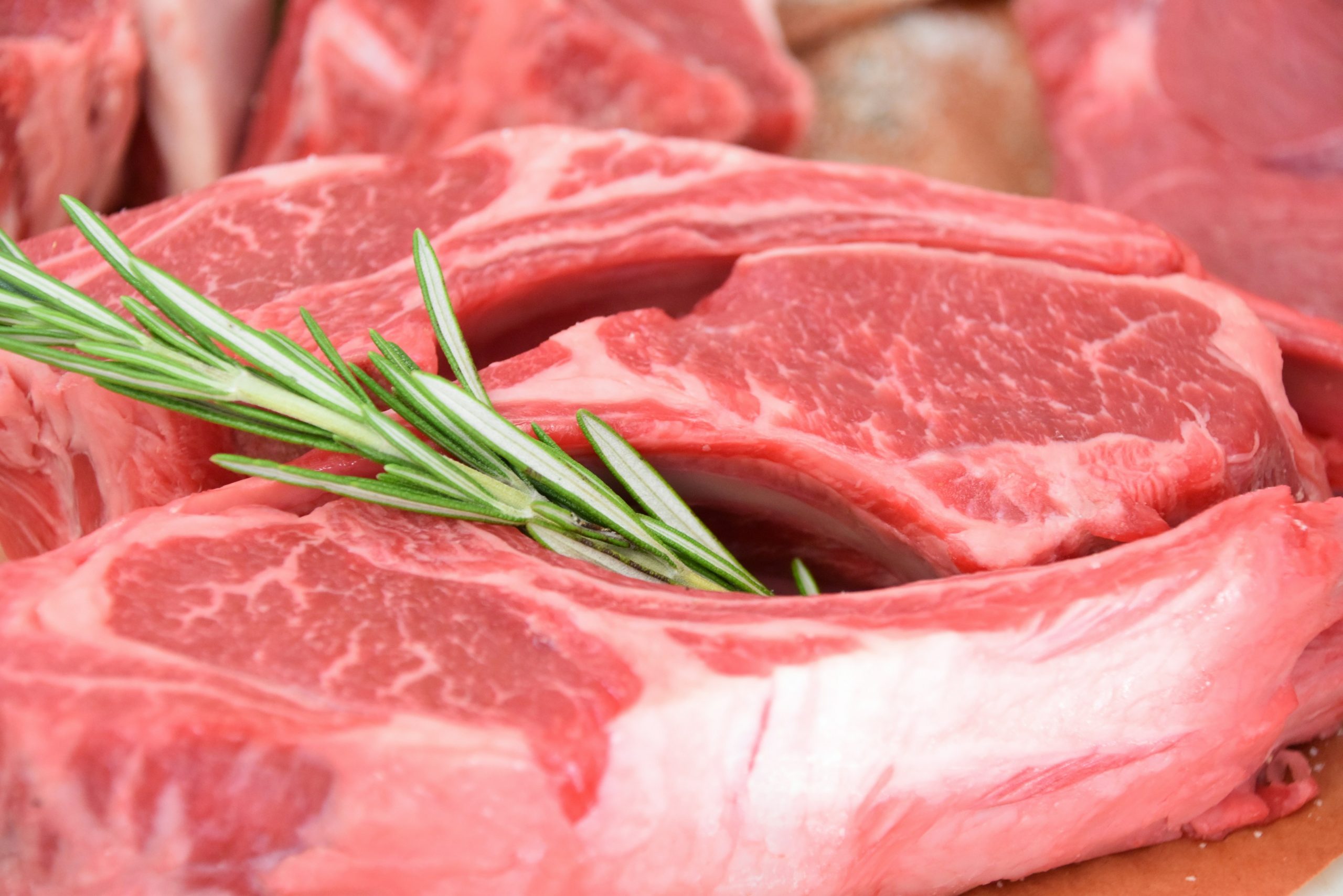 The Viral Carnivore Diet: New Study Warns of Serious Kidney Risks