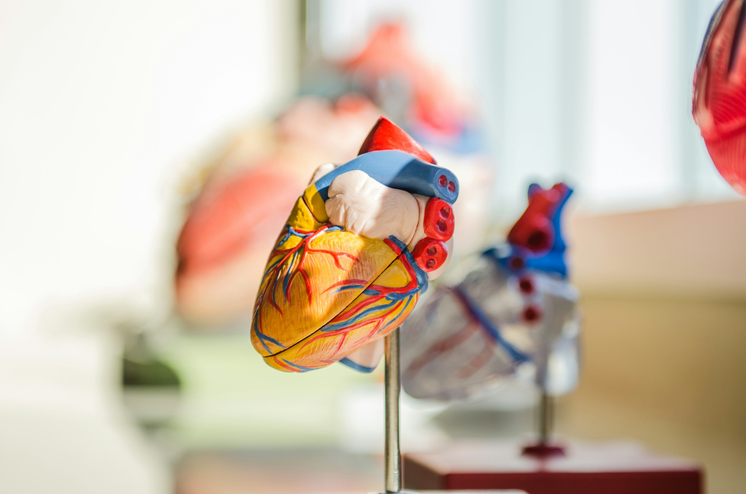 10 Ways to Control High Blood Pressure Without Medication