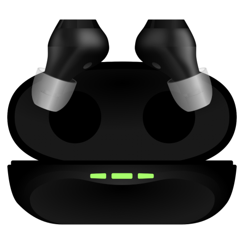 Hearing Aid